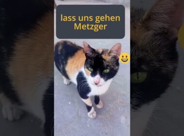 lass uns gehen Metzger