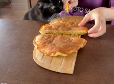 パンケーキを狙う猫　ラガマフィン