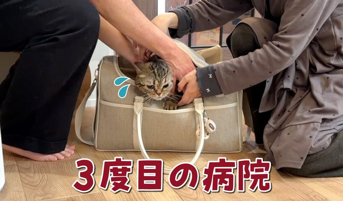 怪我した足を診せに病院に行ったら衝撃の事実が判明しました