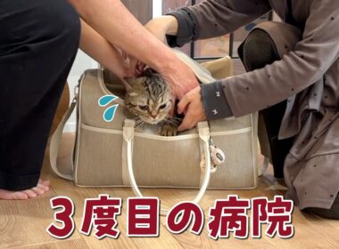 怪我した足を診せに病院に行ったら衝撃の事実が判明しました