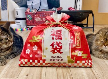 12000円相当の猫用福袋を4999円で買ったら中身が豪華すぎた