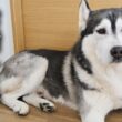 予想外の問題が発生しました...