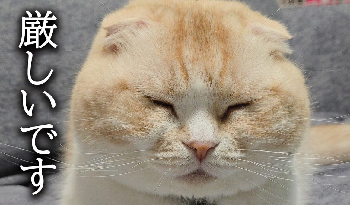 今まで黙っていましたが訴えられました...