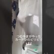 カーテンを破るつむやま〜【シャルトリューつむやまのカーテンビリビリ日記】 #猫 #猫好きさんと繋がりたい #chartreux #ネコ #シャルトリュー #cat #ねこ #猫のいる暮らし