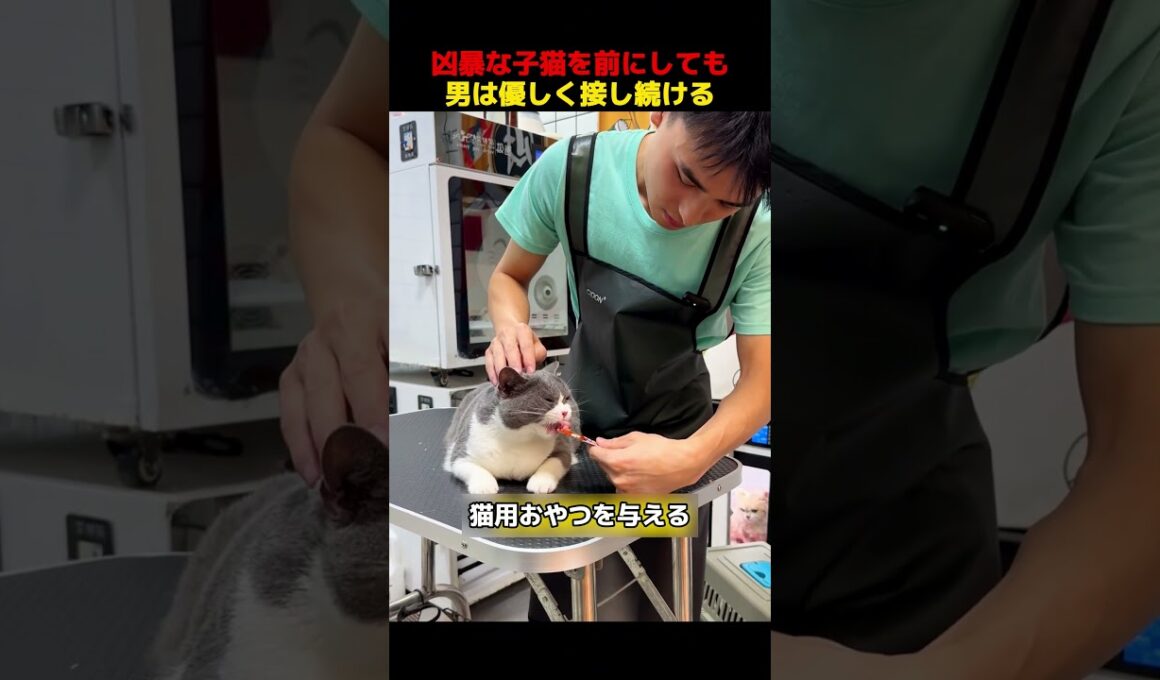 凶暴な子猫を前にしても、男は優しく接し続ける！