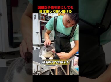 凶暴な子猫を前にしても、男は優しく接し続ける！