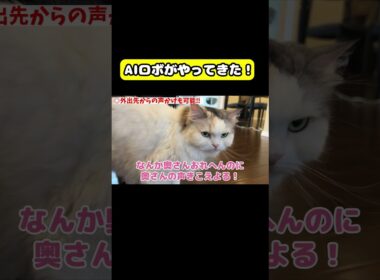 AIロボがやってきた！　#猫 #おもしろ #アテレコ #ニャンチューバーつくし