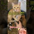 今回は何があっても、この子たちを手放さないよ!