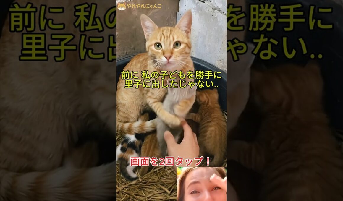 今回は何があっても、この子たちを手放さないよ!