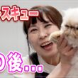 【ちゅんちゅん】天国のママへ僕たちは元気です！涙のレスキューあの猫ちゃんはどうなった？お手入れ大好きすぎてよだれが止まらないｗｗ【ペルシャ】