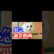 【緊急】これからは本当に気をつけます… #shorts