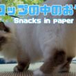 バーマン猫ラフ【紙コップの中のおやつ】Snacks in paper cups（バーマン猫）Birman/Cat