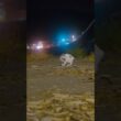 定置網漁船のエンジン音！潮騒！川のせせらぎ！梅雨の晴れ間の真夜中のお散歩！ #熱海 #cat #ジャパニーズ・ボブテイル #伊豆 #野良猫 #相模灘 #保護猫 #猫のいる暮らし