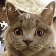 【生後4ヶ月半のブゥ】歯も抜けました！