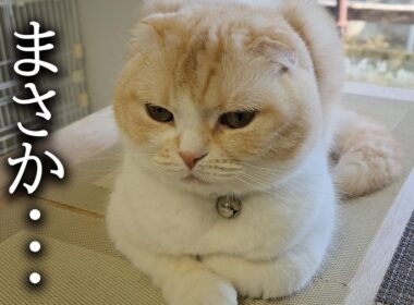 予想外の問題が発生しました...