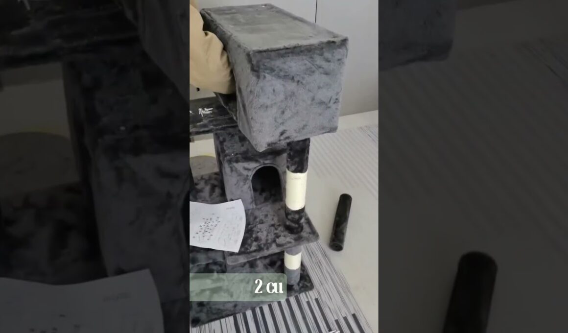 Árbol Rascador para Gato Korat