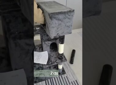 Árbol Rascador para Gato Korat