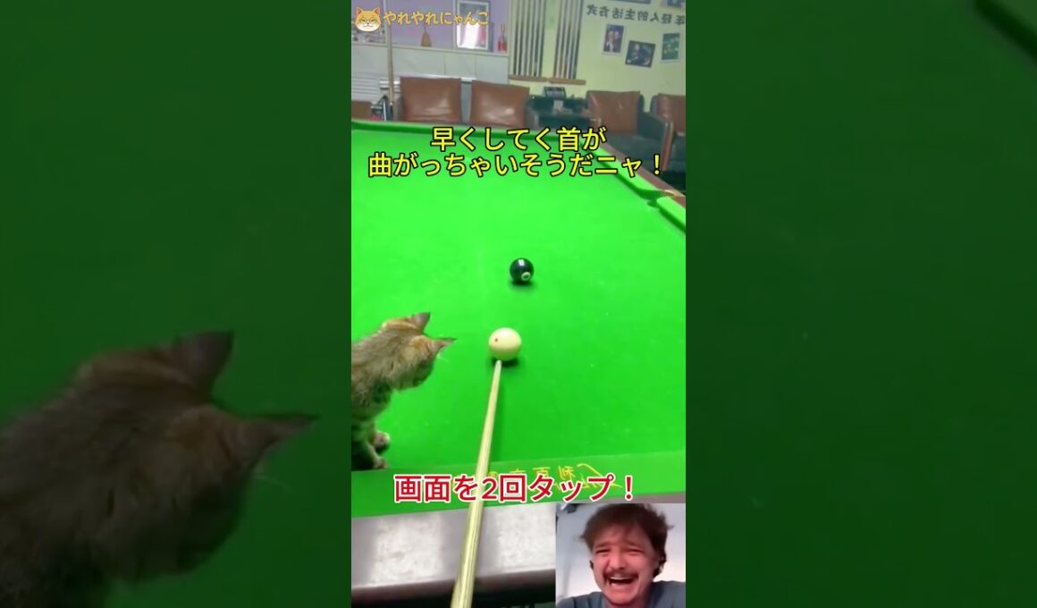 正直に言って、あなたはビリヤードをしたことがないでしょう?