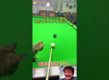 正直に言って、あなたはビリヤードをしたことがないでしょう?