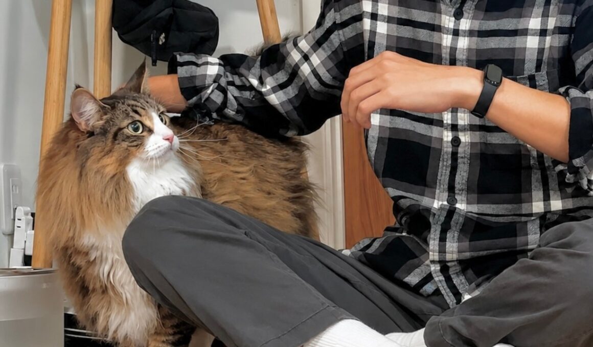 デカ猫が初対面の人にまさかの神対応！？人間大好きな猫ちゃんが可愛すぎるから見て…