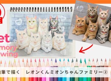 【ペット画ライブ③】お母さん猫ミオンちゃん🐱 アメリカンショートヘアー | American Shorthair Cat Portrait Live
