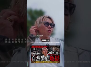山梨の自然繁殖猫 その２