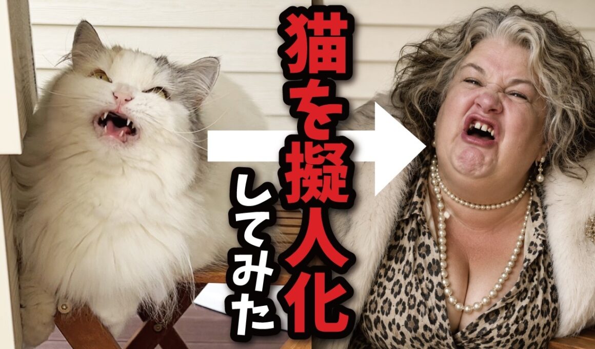 猫をAIで擬人化してみた結果がこちら