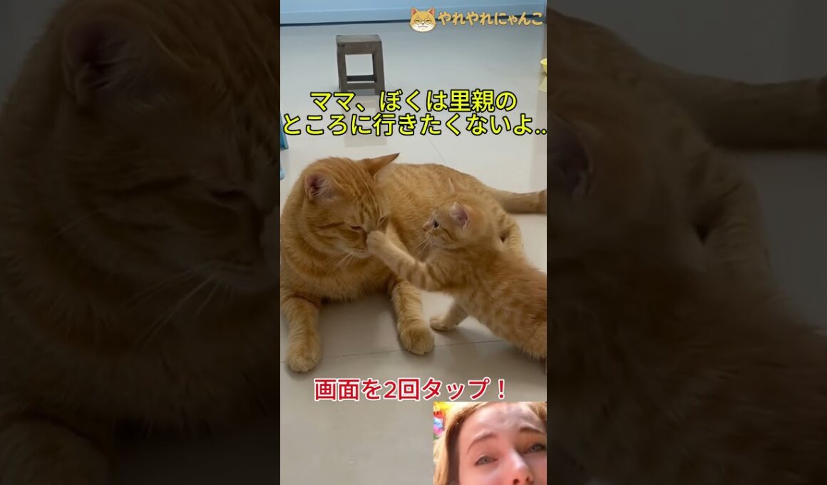 ママのそばで、ずっと長く暮らしたいよ..