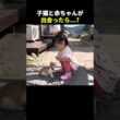 赤ちゃんと子猫の初めての出会い