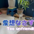 バーマン猫ウリとラフ【愛想なさすぎ】Too unfriendly（バーマン猫）Birman/Cat