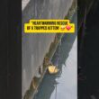 Heartwarming Rescue of a Trapped Kitten🥹❤️ #cat #cutecat #kitten #funnycats #catshorts #mocicatstory