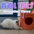 バーマン猫ラフ【背負い投げ】Shoulder throw（バーマン猫）Birman/Cat