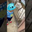 ヤギさんと初めての触れ合い😳‼️
