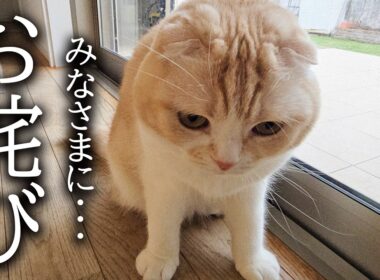 【謝罪】みなさん本当に申し訳ございませんでした