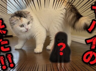 殺人未遂事件発生ッッッ…！？