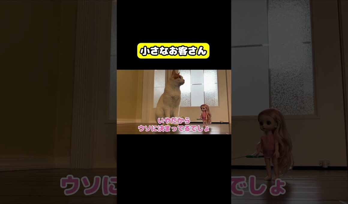 小さなお客さん　#猫 #おもしろ #アテレコ #ニャンチューバーつくし
