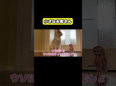 小さなお客さん　#猫 #おもしろ #アテレコ #ニャンチューバーつくし