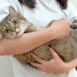 あんなに小さかった子猫が、ついに7歳になりました！