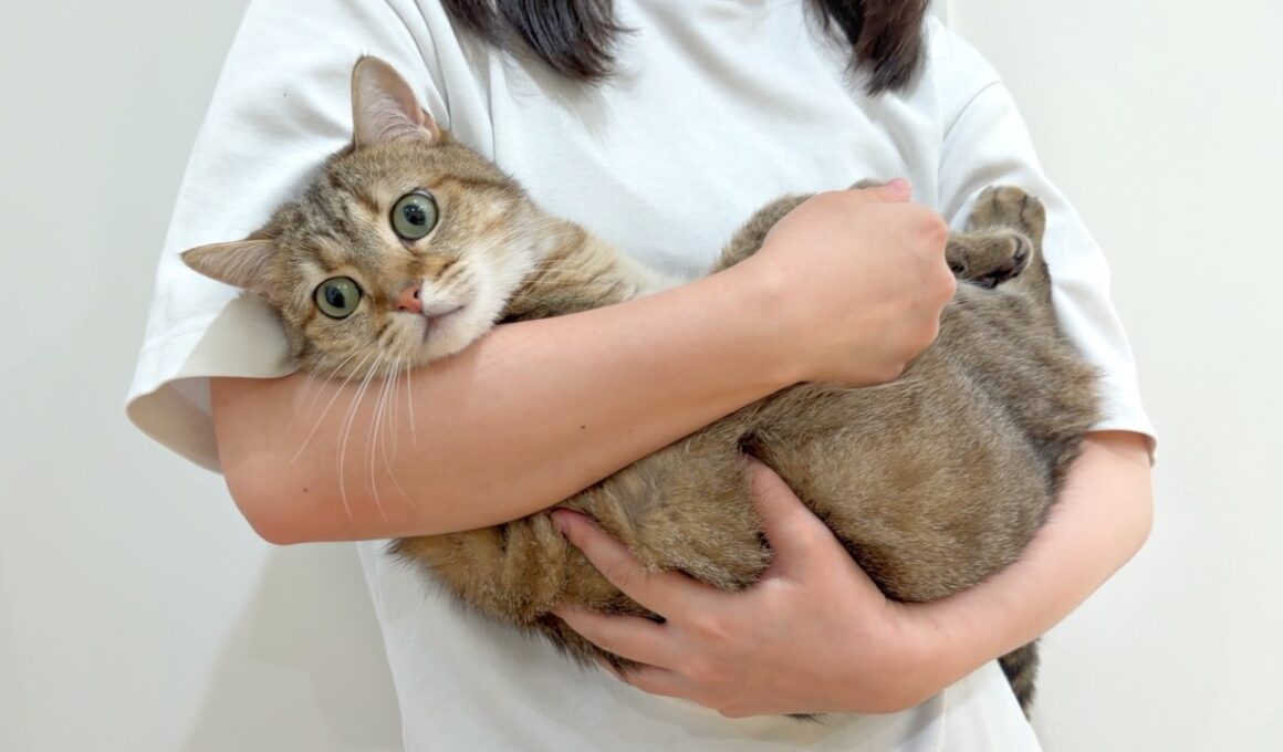 あんなに小さかった子猫が、ついに7歳になりました！