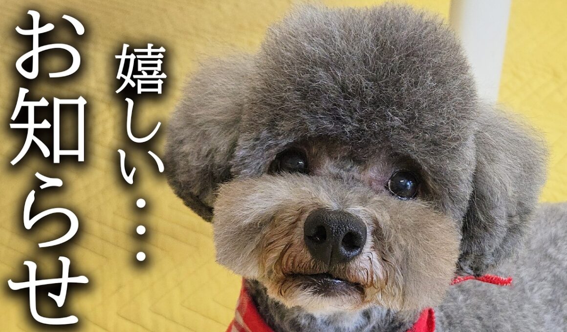 みなさまに嬉しいお知らせがあります...
