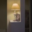 どこにいる #ねこ動画 #アメリカンカール