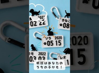 【100日チャレンジ Day036】スフィンクス うちの子ナンバープレート | 3Dプリント名入れキーホルダー #shorts #OnlyOnePlate #うちの子 #スフィンクス