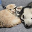 これは許せん！プンプンに怒ってます...