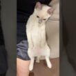 ハウスオペレータのお仕事