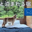 【2026夏オープン！】自然の中で愛犬と泊まれる宿が千葉に誕生。プレオープンに行ってみた【Ruff-Laugh LIFESTYLE DOG PARK】