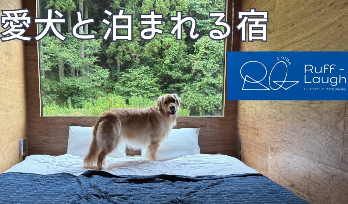 【2026夏オープン！】自然の中で愛犬と泊まれる宿が千葉に誕生。プレオープンに行ってみた【Ruff-Laugh LIFESTYLE DOG PARK】
