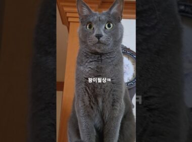 이 시대의 진정한 왕이될상