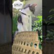 ここがローマのコロッセオか