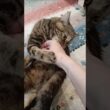 可愛い顔に騙されるな(笑)