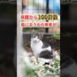 【衝撃】保護から100日後。庭にまさかの来客が！